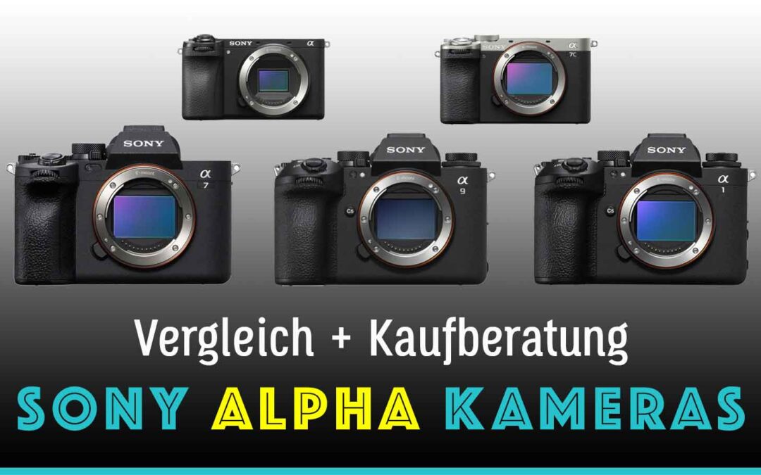 Sony Alpha Kamera Vergleich 2025: Welches Modell passt zu dir?