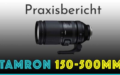 Tamron 150-500mm F5-6.7: Mein Praxistest (Sony E-Mount)
